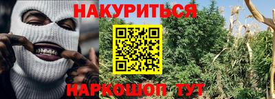бошки Заводоуковск