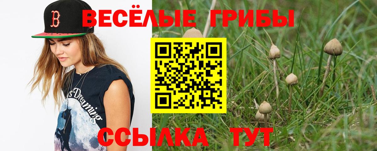 Галлюциногенные грибы Psilocybe Чапаевск
